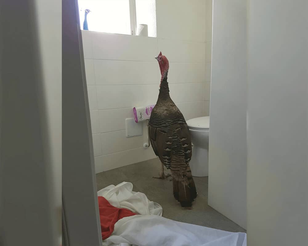 A bissal viel für einen Tag!