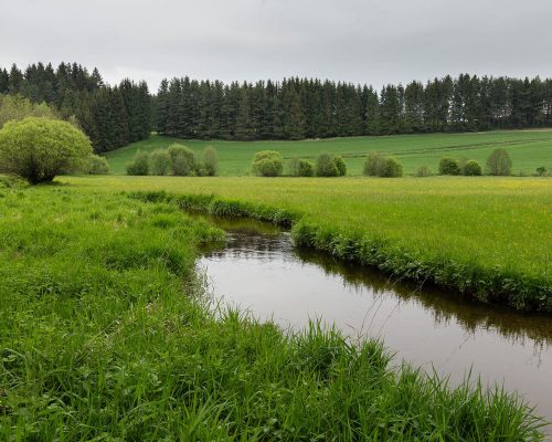 Aussicht auf die Lainsitz