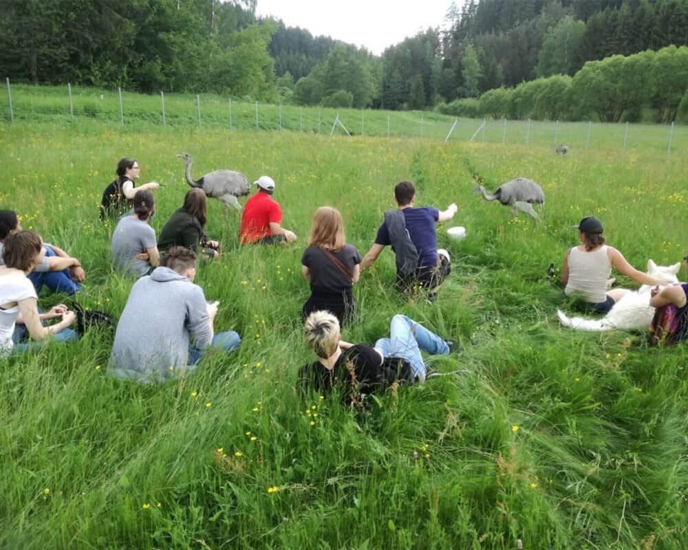 Das ist aber teuer reloaded