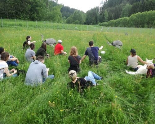 Das ist aber teuer reloaded