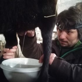 Milch und schlaflose Nächte
