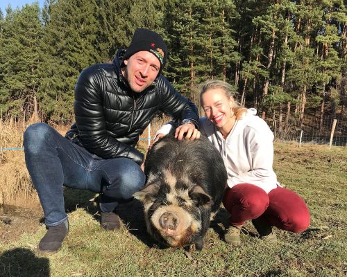 Rudi Kune Kune und Besucher