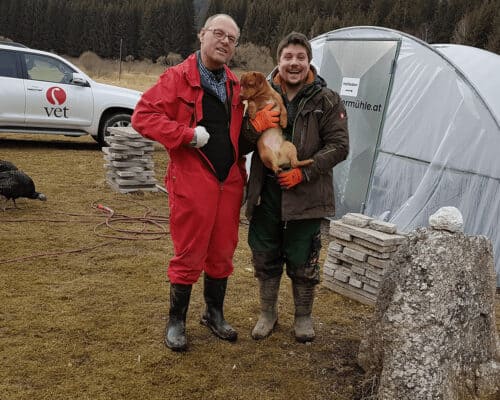 Tierarzt- Großeinsatz!