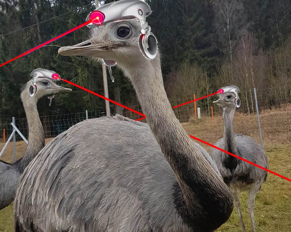 Nandulaserhelme