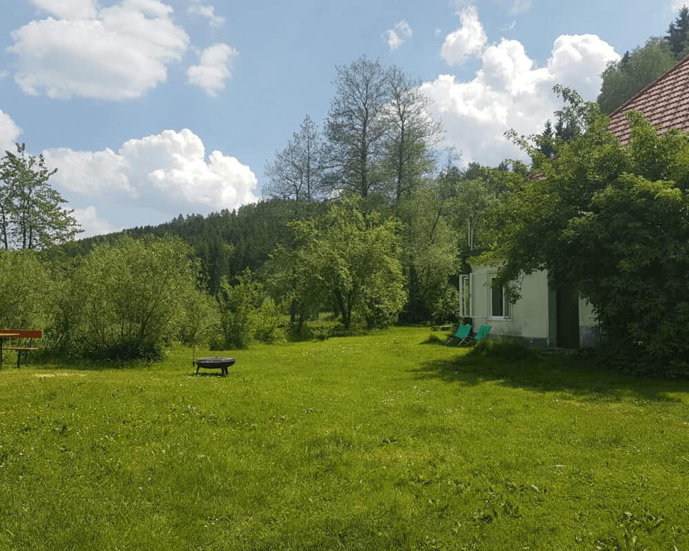 Grüne Wiese | Zimmer im Waldviertel