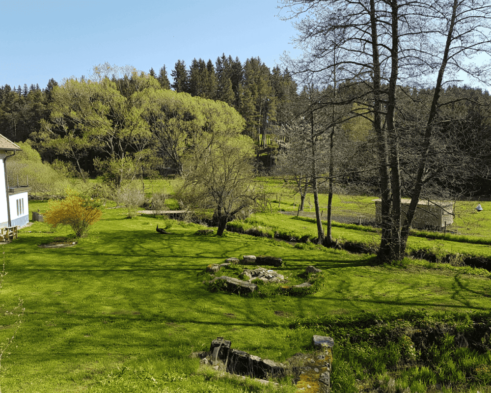 Garten Mai 2022
