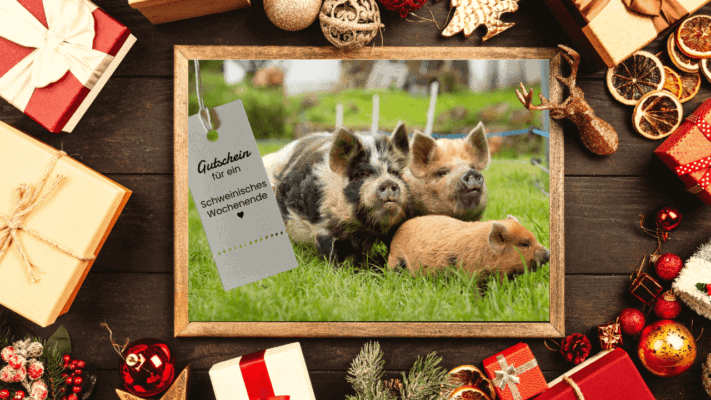 Gutschein Schweinisches Wochenende Weihnachten 1280x720