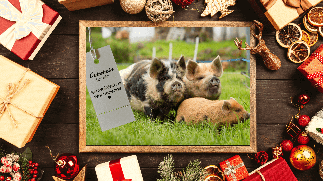 Gutschein Schweinisches Wochenende Weihnachten 1280x720