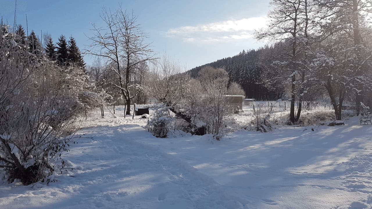 Winterausblick 1280x720