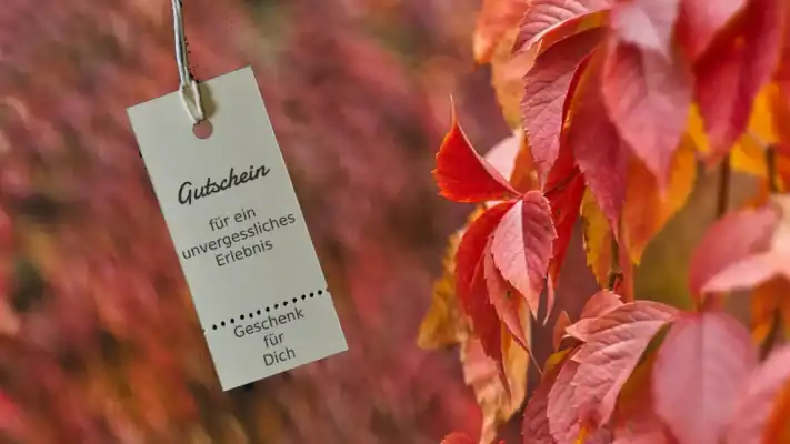 Weihnachtsgeschenke ohne Stress: Foto von Jarda Husák: https://www.pexels.com/de-de/foto/roter-herbst-34218074/